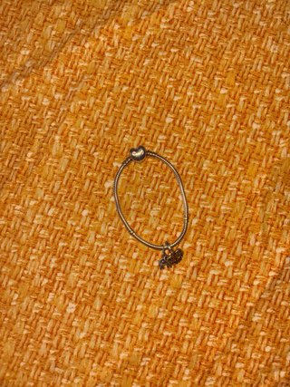 Pulsera Pandora Plata con Dijes