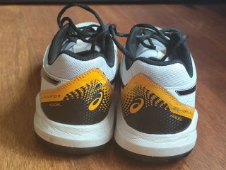 Zapatillas Asics Gel-Dedicate 8 Padel
