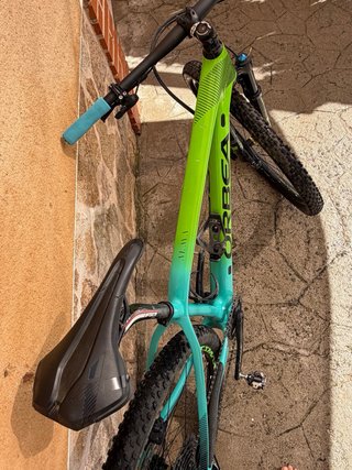 Bicicleta Orbea Alma 29 M25 Carbono Talla M