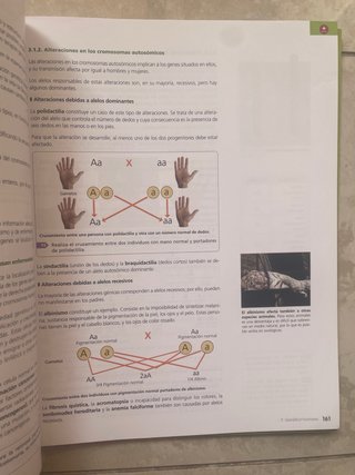 Biología y Geología 4 ESO