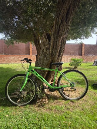 Bicicleta RUNFIT 24 Verde en el Pto. Santa Maria