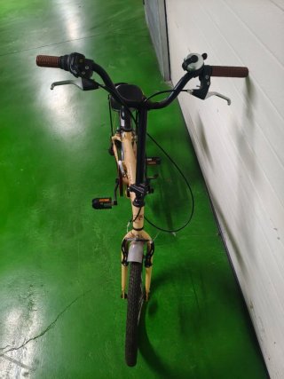 Bicicleta Vintage 20 Edition