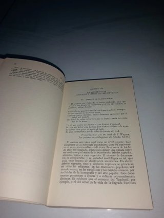 Tratado de historia de las religiones tomo 2