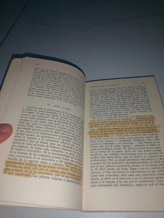 Tratado de historia de las religiones tomo 2