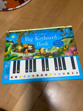 Libro The Usborne Big Keyboard Book