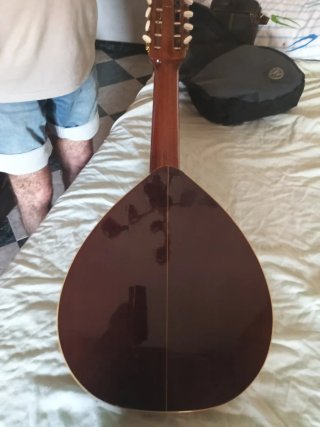 Laúd con funda