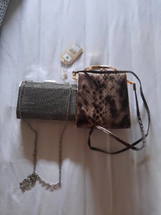 Bolso de fiesta plateado y serpiente