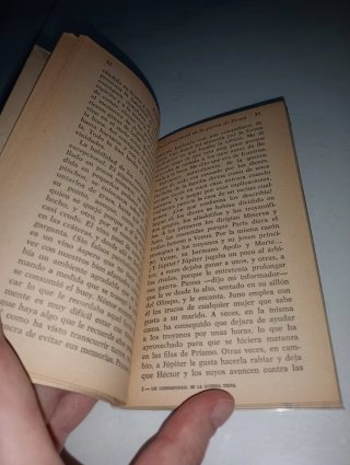 Un corresponsal en la guerra de Troya