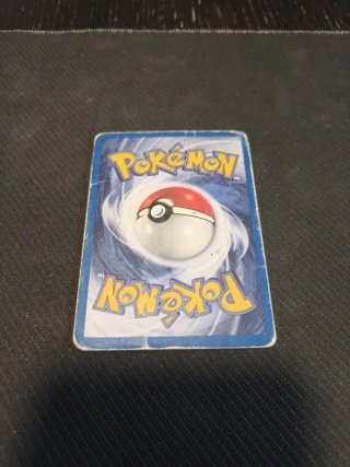 Blaine's Arcanine Gym Challenge Pokémon