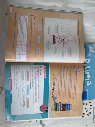 Lengua castellana y literatura. 4 de Primaria.