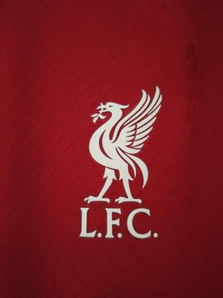 Camiseta Oficial Luis Diaz Version Jugador Nike