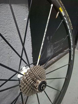 Orbea Orca
