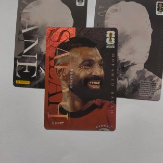 Cartas Panini Kayou Legend