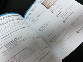 Cuadernillo Desafíos Matemáticos