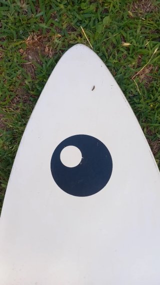 Tabla Windsurf BIC 310