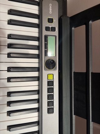 Teclado Casiotone LK-S250