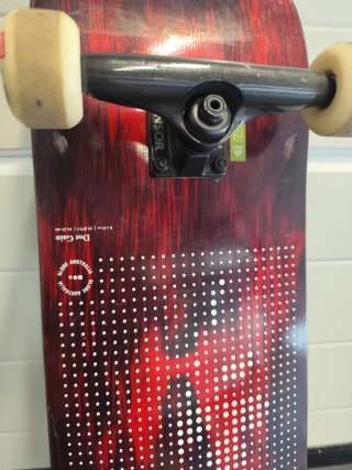 Skate Globe