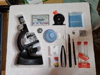 Microscopio 100x-900x con Accesorios
