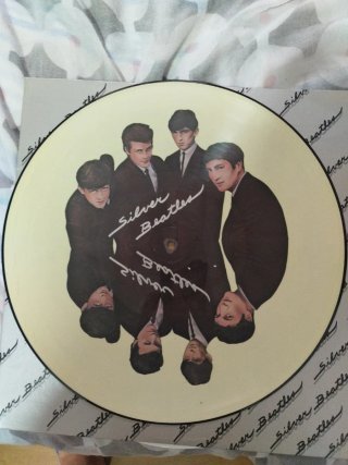 Disco Vinilo Picture Disc The Beatles Silver 2 lps