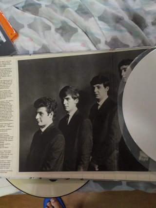 Disco Vinilo Picture Disc The Beatles Silver 2 lps