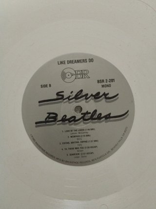 Disco Vinilo Picture Disc The Beatles Silver 2 lps