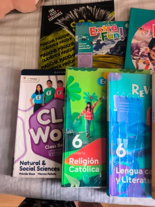 Lote libros 6 ° primaria la Sagrada Familia