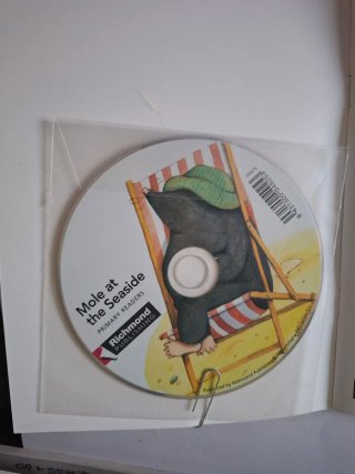 Mole at the Seaside