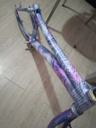 Cuadro Bici Monty Trial Pintura Personalizada