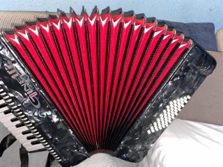 Fisarmonica Ginelli 48 bassi