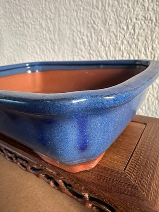 Maceta para bonsai