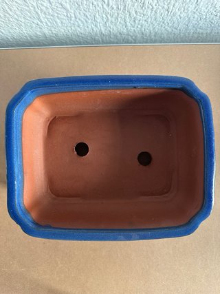 Maceta para bonsai