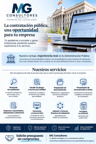 Consultor de licitaciones