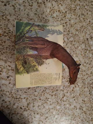 Lote de 3 libros juveniles de consulta – Susaeta –