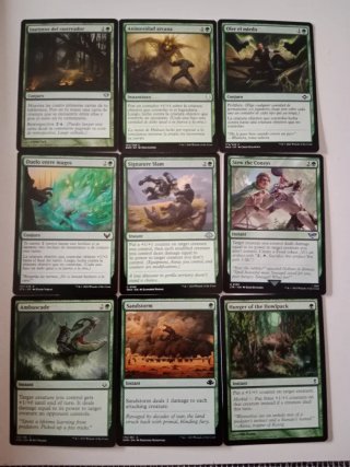 Mazo  Magic Commander JYOTI SIMIC