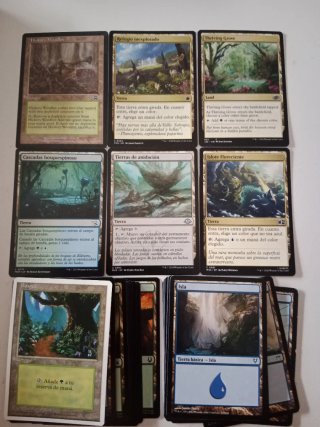 Mazo  Magic Commander JYOTI SIMIC