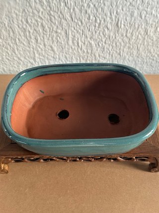 Maceta para bonsai