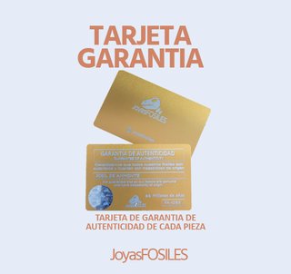 Trilobite Fósil Expositor Coleccionista 9,5€ solo