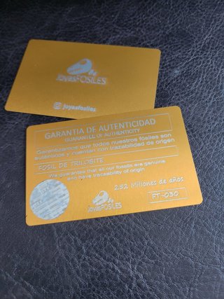 Trilobite Fósil Expositor Coleccionista 9,5€ solo