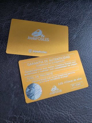 Trilobite Fósil Expositor Coleccionista 9,5€ solo