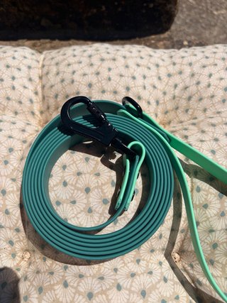 Correa Multifuncional y Collar para Perro PVC