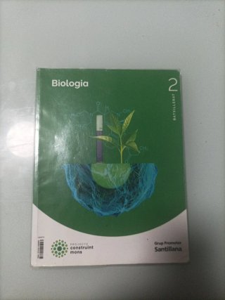 Biologia, 2 Batxillerat, Projecte Construint mons