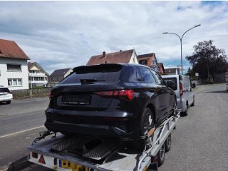 Remolque plataforma para coches
