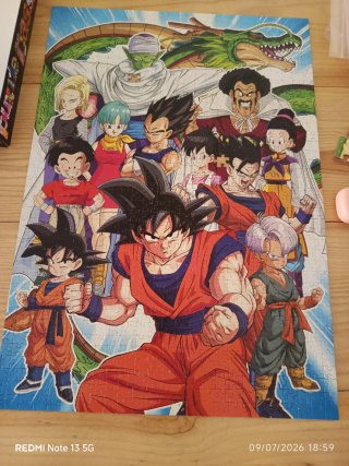 Lote Puzzles