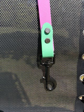 Correa Simple PVC para Perro