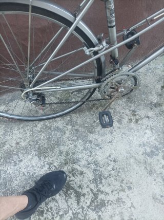 Bicicleta BH Gacela Plata