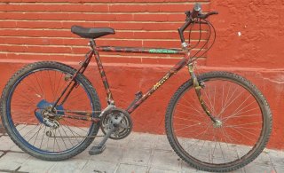 Bicicleta de Montaña