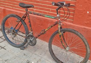 Bicicleta de Montaña