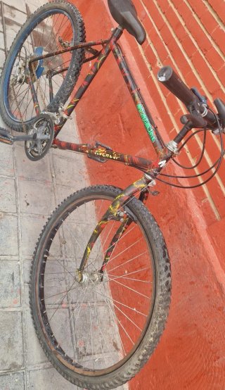 Bicicleta de Montaña