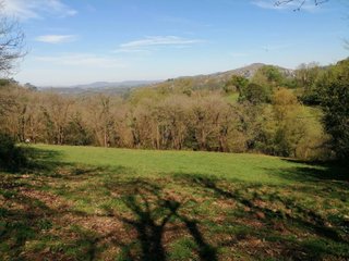 SE VENDE FINCA RÚSTICA. SARDÍN (ASTURIAS)