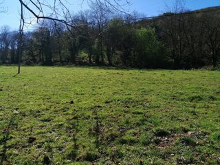 SE VENDE FINCA RÚSTICA. SARDÍN (ASTURIAS)